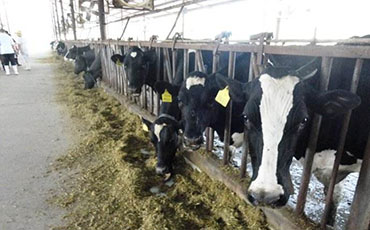 天潤新東制冷罐出口印度 實現(xiàn)南亞乳業(yè)"冷"突破